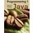 Programmering 1 Java (Spiral)