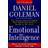Emotional Intelligence (Inbunden, 2006)