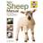 Haynes Sheep Manual (Inbunden, 2015)