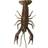Savage Gear SG LB 3D Crayfish 8cm Magic Brown 4-pack