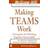 Making Teams Work (Spiral, 2004)