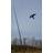 Scarecrow Kite