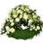 Blommor till begravning & kondoleanser Funeral Flowers Stylish