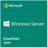 Microsoft Windows Server 2019 Essentials MUI (OEM ESD)