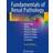 Fundamentals of Renal Pathology (Häftad, 2013)