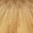 MyFloor 13523 Oak Laminate Flooring