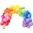 Ginger Ray Balloon Arch Kit Rainbow 85-pack