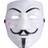 Anonymous Adult Mask