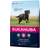 Eukanuba Active Adult Large Breed with Chicken 3kg