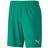 Puma teamGOAL 23 Knit Shorts Men - Pepper Green
