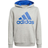adidas Kid's Big Logo Hoody - Medium Grey Heather/Bold Blue (H35858)