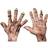 Ghoulish Productions Zombie Flesh Bloody Scary Hands Halloween Monster Adult Gloves