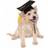 Rubies Graduation Hat for Dog & Cat Costume