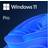 Microsoft Windows 11 Pro for Workstations Eng (64-bit OEM)