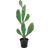 Planta Verde Kaktus Julgran