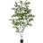 Europalms Björkträd, konstgjord växt, 210cm, Björk, 210cm Konstgjord växt