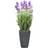 Europalms Konstgjord Lavendel, lila, 45 cm Konstgjord växt