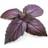 Veritable Lingot Organic Purple Basil
