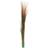 Europalms Reed grass, brown, artificial, 127cm Påskdekoration
