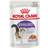 Royal Canin Sterilized in Jelly 24x85g