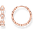 Thomas Sabo Creolörhängen cirklar med vita stenar roséguldpläterad