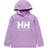 Helly Hansen Kid's Logo Hoodie - Heather (40453-699)