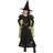 Rubies Child Wicked Witch of the West Costume