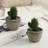 Shein Potted Cactus Konstgjord växt