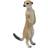 Mojo Realistic Meerkat Figurine Toy by Animal Planet