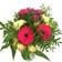 Blommor till begravning & kondoleanser Phenomenal Blandade blommor