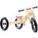 Trybike 4 in 1 Low Tricycle