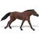 Safari Thoroughbred Stallion 157705