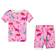 Hatley Darling Dinos Short Pajama Set - Pink (S19PDK217O)