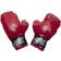 Teknikproffset Boxing Bag with Boxing Gloves