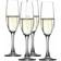 Spiegelau Authentis Champagneglas 19cl 4st