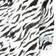 Lindberg Baby Zebra Regnoverall - White