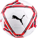 Puma TeamFinal 21.5 Hybrid Football