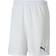 Puma teamGOAL 23 Knit Shorts Men - White