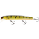 Westin Giant Pike Wobbler 17cm Bling Perch