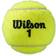 Wilson Roland Garros All Court - 8 bollar