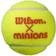 Wilson Minions Stage 2 - 3 bollar