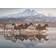 Schmidt Spiele Horses in Cappadocia 1000 Pieces