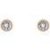 Ted Baker Sinaa Earrings - Gold/Transparent
