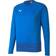 Puma teamGOAL 23 Training Sweatshirt Men - Electric Blue Lemonade/Team Power Blue
