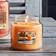 Yankee Candle Farm Fresh Peach Medium Doftljus 411g