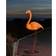 Konstsmide Flamingo Golvlampa 110cm