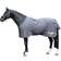 Covalliero Outdoor Horse Blanket RugBe Zero