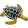 Safari Life Cycle Of A Green Sea Turtle