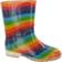 Cotswold Kid's Patterned PVC Childrens Welly Wellington - Rainbow
