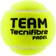 Tecnifibre Team - 3 bollar